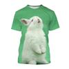 Animal Rabbit 3D Printed T-Shirts Men Women Casual Fashion Streetwear Oversized Short Sleeve T Shirt Male Tees Tops Man Clothing