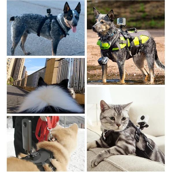 Dog Harness Mount for Gopro, Soft and Adjustable Dog Harness Vest with 2 Mouting Base Pet Chest and Back Fixation for Gopro Hero All Models, Suitable