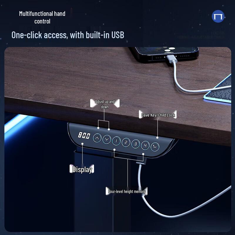 Loctek Black Warrior Max Electric Standing Desk