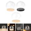 Clear Glass Display Dome with Wooden Base Dollhouse Decoration Bell Jar Display Case Pedestals Micro Landscape Holder
