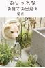 Kishima Gardening Entrance Object Miscellaneous Goods Wall Hook Decoration Stylish Natural Dog KH-61246