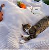 Outdoor picnic mat linen tablecloth camping blanket atmosphere tablecloth picnic mat outing car trunk mat