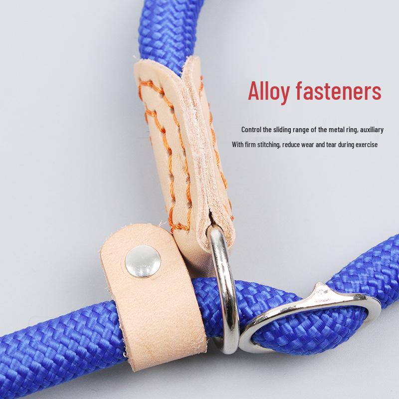 Competition-Grade Anti-Surge P-Chain Dog Leash for Training and Walking - Suitable for Small, Medium, and Large Dogs