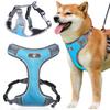 ASTRO Blue Training Harness for Walking Dogs, Size