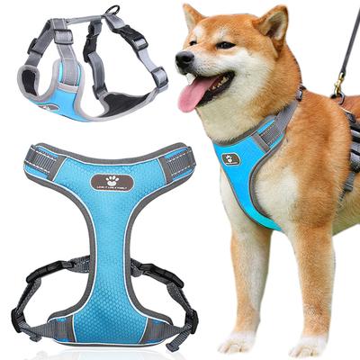 ASTRO Blue Training Harness for Walking Dogs, Size