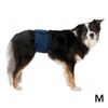 Belly Band for Male Dog - TRIXIE - 45-55 Cm - Dark Blue - Breathable Mesh - Incontinence - Medium Breeds