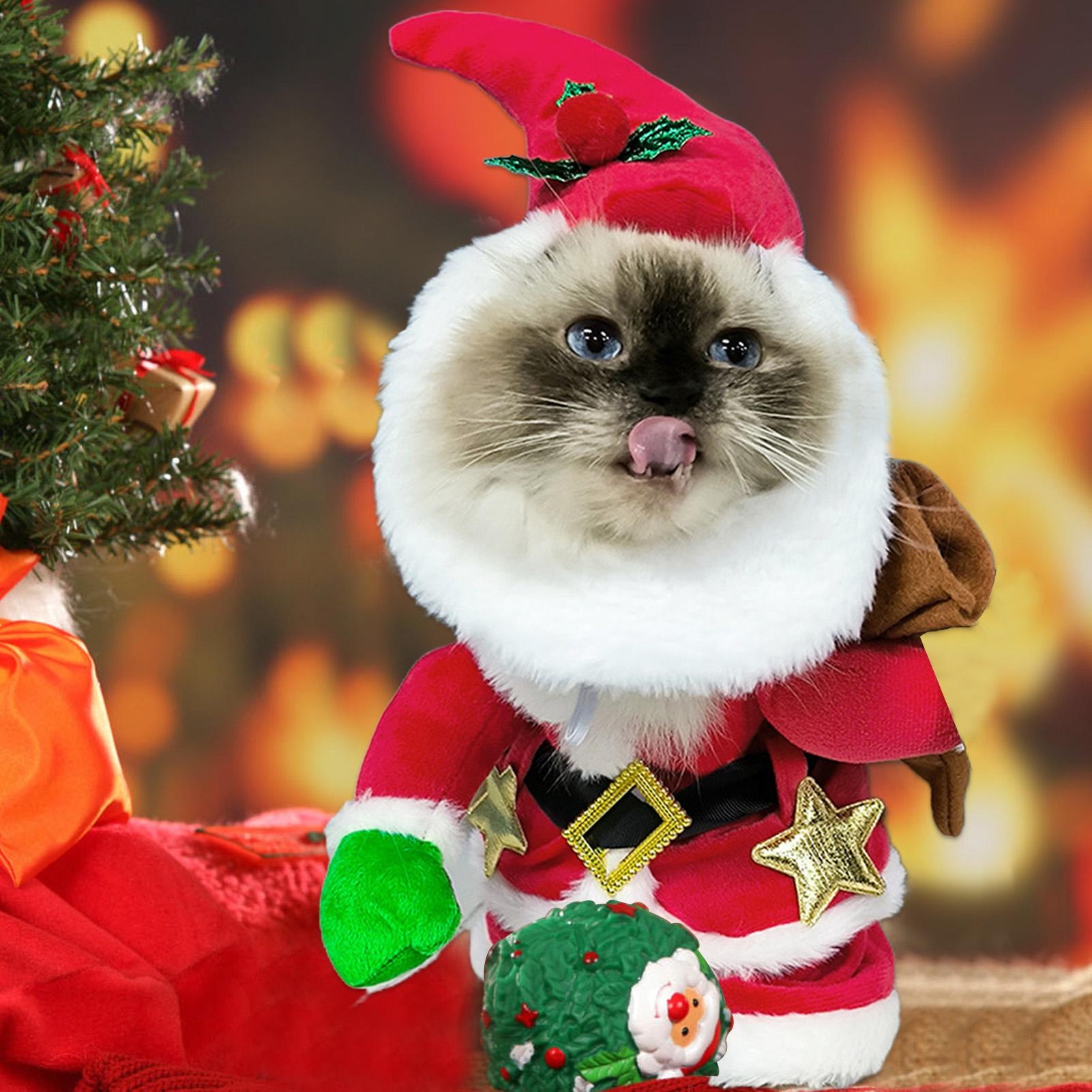 

Christmas Costume For Cat Cosplay Outfit With Hat Santa Costume Clothes For Holiday Party Cosplay Masquerade Theater Performance S