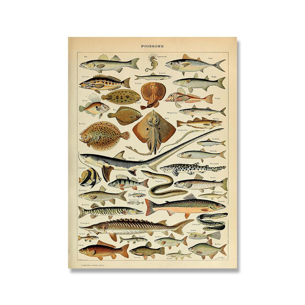 

Винтажная энциклопедия Адольфа Мийо, холст, картина, млекопитающие, рептилии, постеры с насекомыми и принты, настенные художественные картины для домашнего декора 21x30cm No Framed