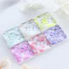Garrafa plana primavera flor de cerejeira pétala unha glitter macaron 12 cores PET irregular decoração de unhas remendo DIY suprimentos para unhas