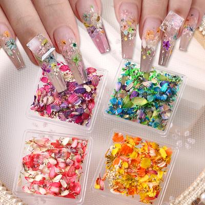 1Box Nail Art Květinové dekorace Jemné sušené květinové Nail Art Dekorace Vynikající Nail Art Beauty for Charms Příslušenství
