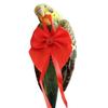 Parrot Diaper with Bowknot Pineapple Theme Washable Bird Garment Nappy