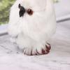 Leuke Owl White Black Furry Ornament Decor Adornment Simulation Gifts
