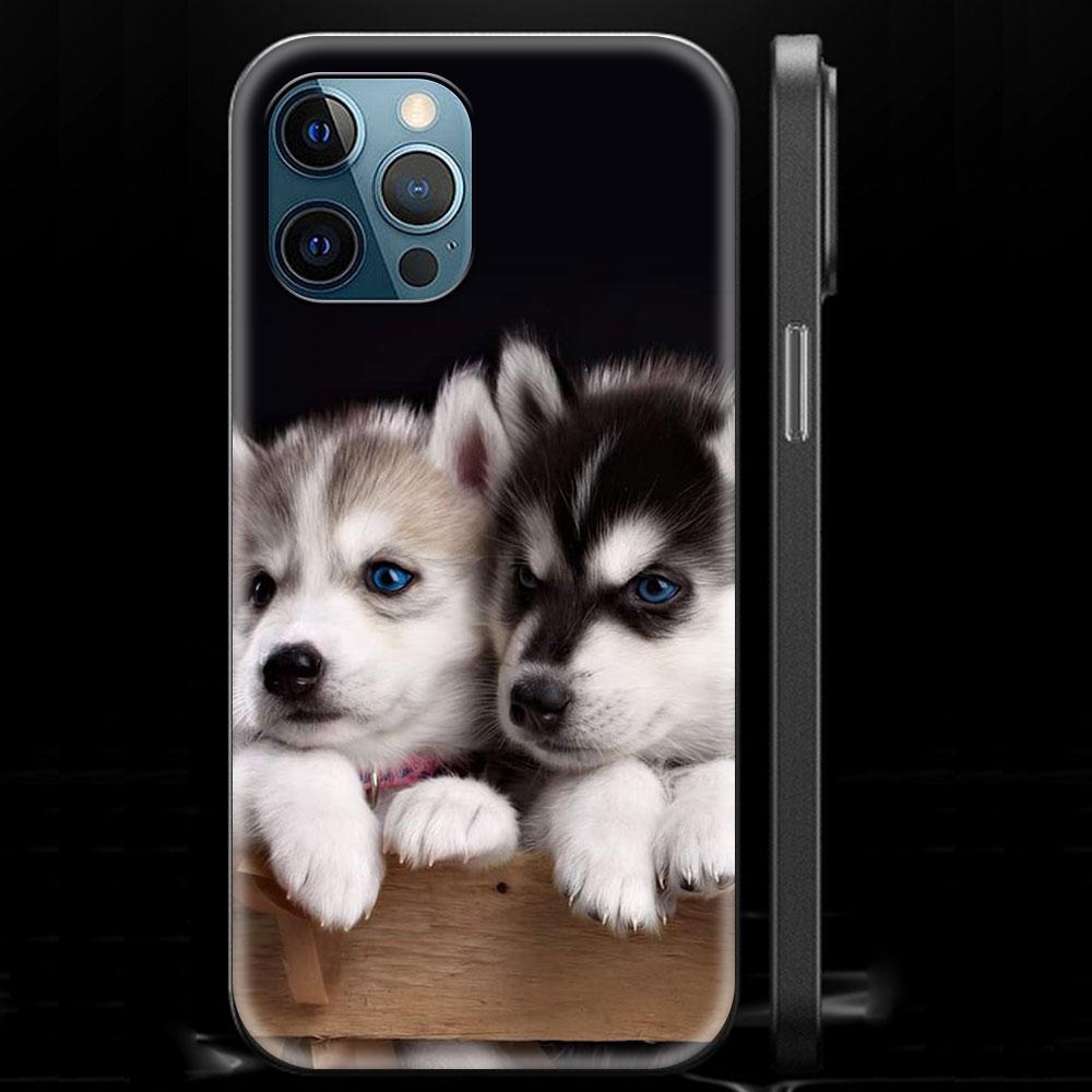 Alaskan Husky Dog Cute Puppy Luxury Phone Case For iPhone 13 15 14 12 11 Pro MAX XR X SE XS 7 8 Plus Silicone Black Matte Cover