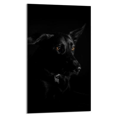 SZKLANA DESKA DO KROJENIA 30x52 Pies