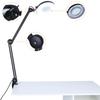 Beauty Cosmetic Tattoo Manicure 5x Magnifying Lighted Desk Magnifier Light Lamp With Clamp