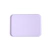 Yicang Plastic Serving Tray