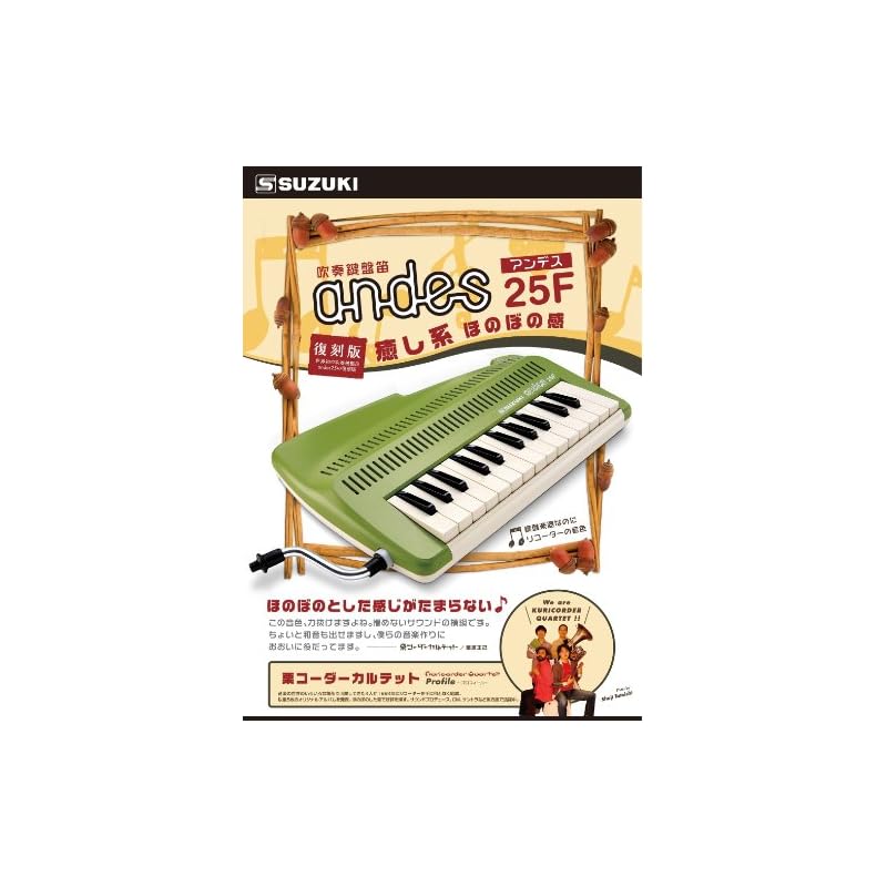 SUZUKI Andes 25F Keyboard Recorder: A keyboard instrument that can play flute sounds and chords. Green.