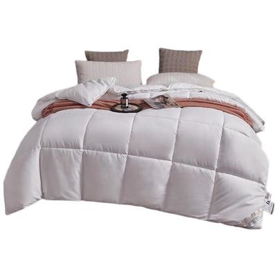 Donald Home Textiles Down Alternative Winter Quilt