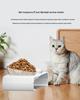 Pet Cat & Dog Transparent Double Bowl - Angled Food & Water Feeder with Neck Protection