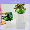 Artificial Green Plant Potted Decor For Hotel Or Market Display With Silk Fabric And Plastic Material