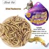 Wooden Hideout & Play Toys for Hamsters, Rats & Rabbits