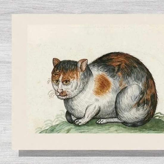 Pisici Urate în Picturi Renascentiste Calendar 2026 Pisici Medievale Amuzante Calendar de Perete Vintage Planificator 12 Luni Artă de Perete cu Pisici Renascentiste Ciudate pentru Pisici