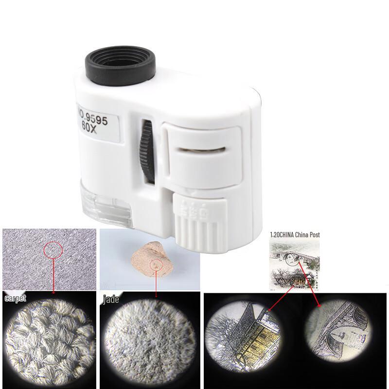 Tragbares LED-Mikroskop-Lupe