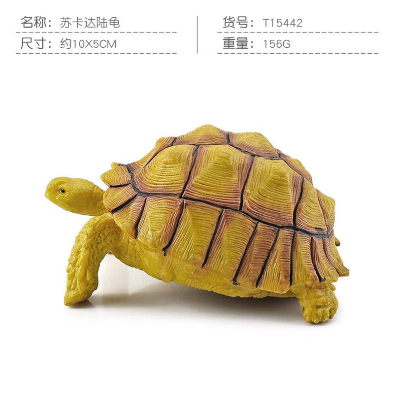 Simulation Amphibian Reptile Model Tortoise Tortoise Star Tortoise Static Decoration Cognitive Ornament Toy