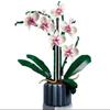 An Orchid Bouquet Is An Ideal Gift Suitable For Home Decoration And Is A Perfect Small Accessory.