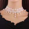 Lace Choker Necklace for Women - Versatile Clavicle Chain with Fake Collar Accessory