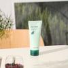 Paparecipe Tea Tree Control Mud Cream Mask 100g