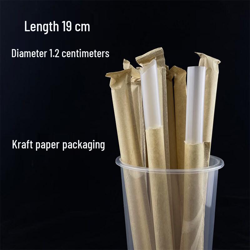 ZISIZ 1000-Count Individually Wrapped Disposable Plastic Straws