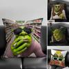 1pc Cute Funny S-Shrek Pillow Case Fashion Square Pillowcase Bedroom Sofa Room Ins Decoration Leisure