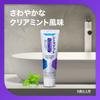 GlaxoSmithKline Consumer Healthcare Japan Co., Ltd. Medicated Shumitect Platinum Protect EX Clear Mint 90g