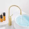 Single Handle Rotates 360 Compatible with Golden Brass Double Sinks Tap, Kitchen Sink Hot and Cold Water Taps, Modern Style