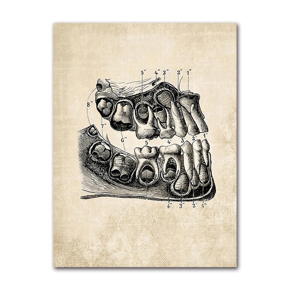 Wandbilder für Krankenhaus, Arzt, Büro, Dekor, Wandkunst, Leinwand, Malerei, Anatomie, Skelett, nordische Poster und Drucke, Vintage