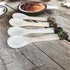ZISIZ Seashell Decorative Spoon Set