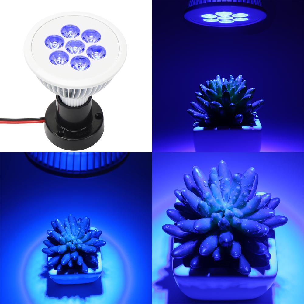 Full Spectrum LED Grow Light E27, 21W/36W for Indoor Plants