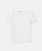 MIXXO Pointel Lace Short Sleeve Knit_Miwkag50Ss