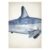 Marine Animals Canvas Paintings Great White Shark Posters and Prints Killer Whale Wall Art Picture for Home Decoration No Frame