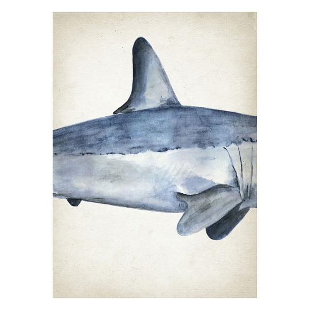 Marine Animals Canvas Paintings Great White Shark Posters and Prints Killer Whale Wall Art Picture for Home Decoration No Frame