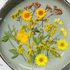 Dried Pressed Flowers For Resin Molds, DIY Bookmark Resin Epoxy Accessories, Small Dried Flower Natural Herbs Pressed