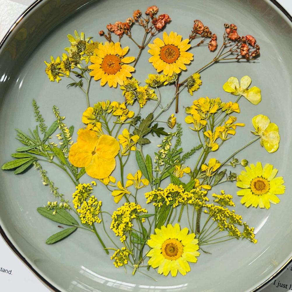 Dried Pressed Flowers For Resin Molds, DIY Bookmark Resin Epoxy Accessories, Small Dried Flower Natural Herbs Pressed