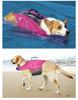 Summer Dog Swimsuit & Portable Life Jacket with Air Pump