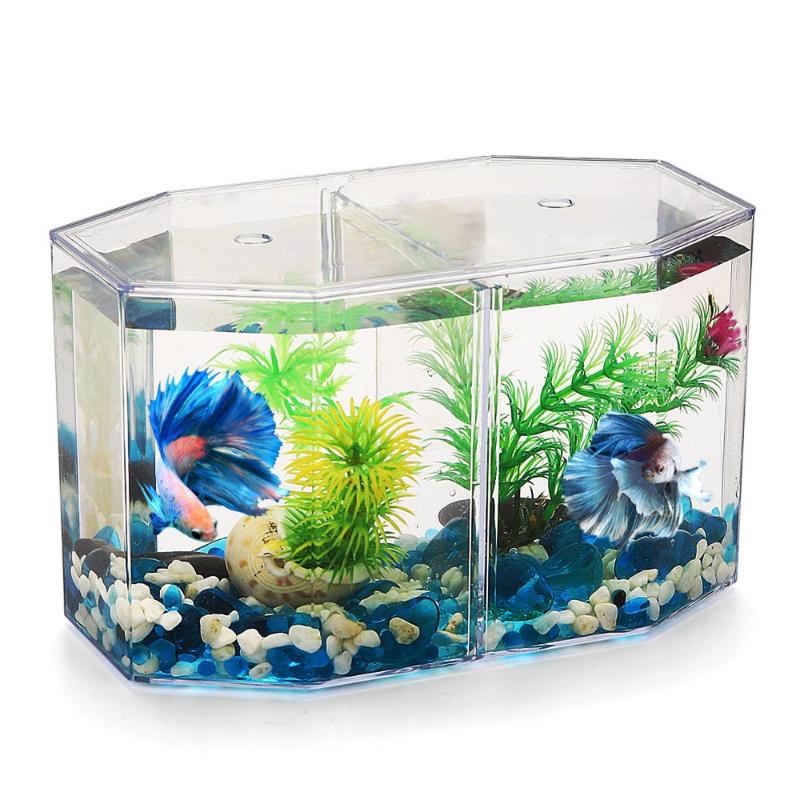 Double Compartment Fighting Fish Box Eco Rumble Fish Aquarium  Aquarium Plastic Isolation Box Breeding Box