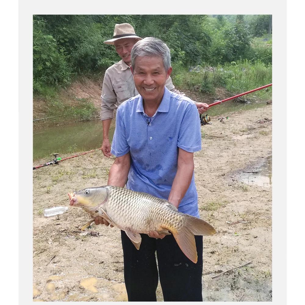 10Pcs/lot 5#-12# High-carbon Steel Fish Hook Two Strength Tip Sharp Carp Fighting Barbed Hooks Double Fishing Hook