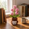 of the Night Light – Potted Plant Decoration with Encouragement Card
