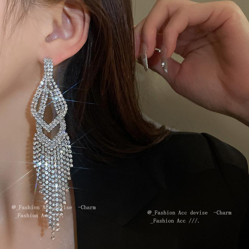 Silver needle metal long fringed earrings niche light luxury high-end earrings fashion versatile temperament earrings women