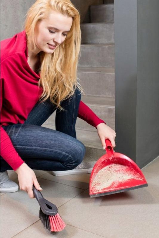 172326 Vileda Dustpan With Brush 2In1