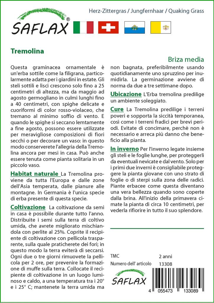 SAFLAX Κήπος στην Σακούλα - Κουφοχορτάρι - 75 σπόροι - Με υπόστρωμα σε κατάλληλη όρθια σακούλα - Briza media